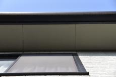 20190624  Msama mae26.JPG