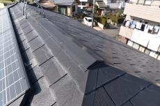 20190624  Msama mae34.JPG