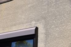 20190624  Tsama mae04.JPG