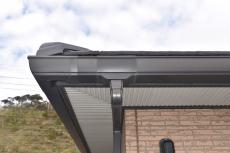 20190624  Tsama mae13.JPG