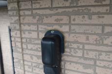 20190624  Tsama mae18.JPG