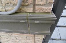 20190624  Tsama mae20.JPG