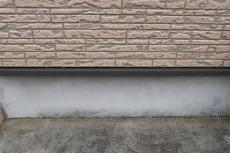 20190624  Tsama mae22.JPG