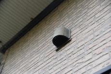 20190624  Tsama mae24.JPG