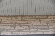 20190624  Tsama mae29.JPG