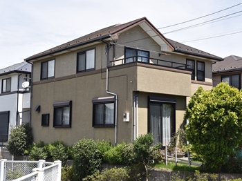 20190626  neTsama mae02.JPG