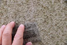 20190627  iwsama mae 05.JPG