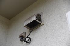 20190627 Nsama　mae10.JPG