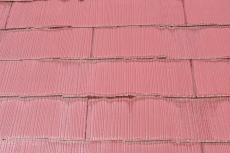 20190627 Nsama　mae24.JPG