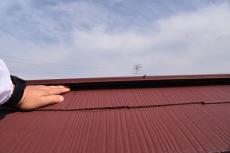 20190627 Nsama　mae27.JPG