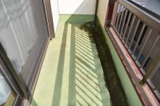 20190627 Nsama　mae29.JPG