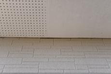20190712 Isama　mae14.JPG