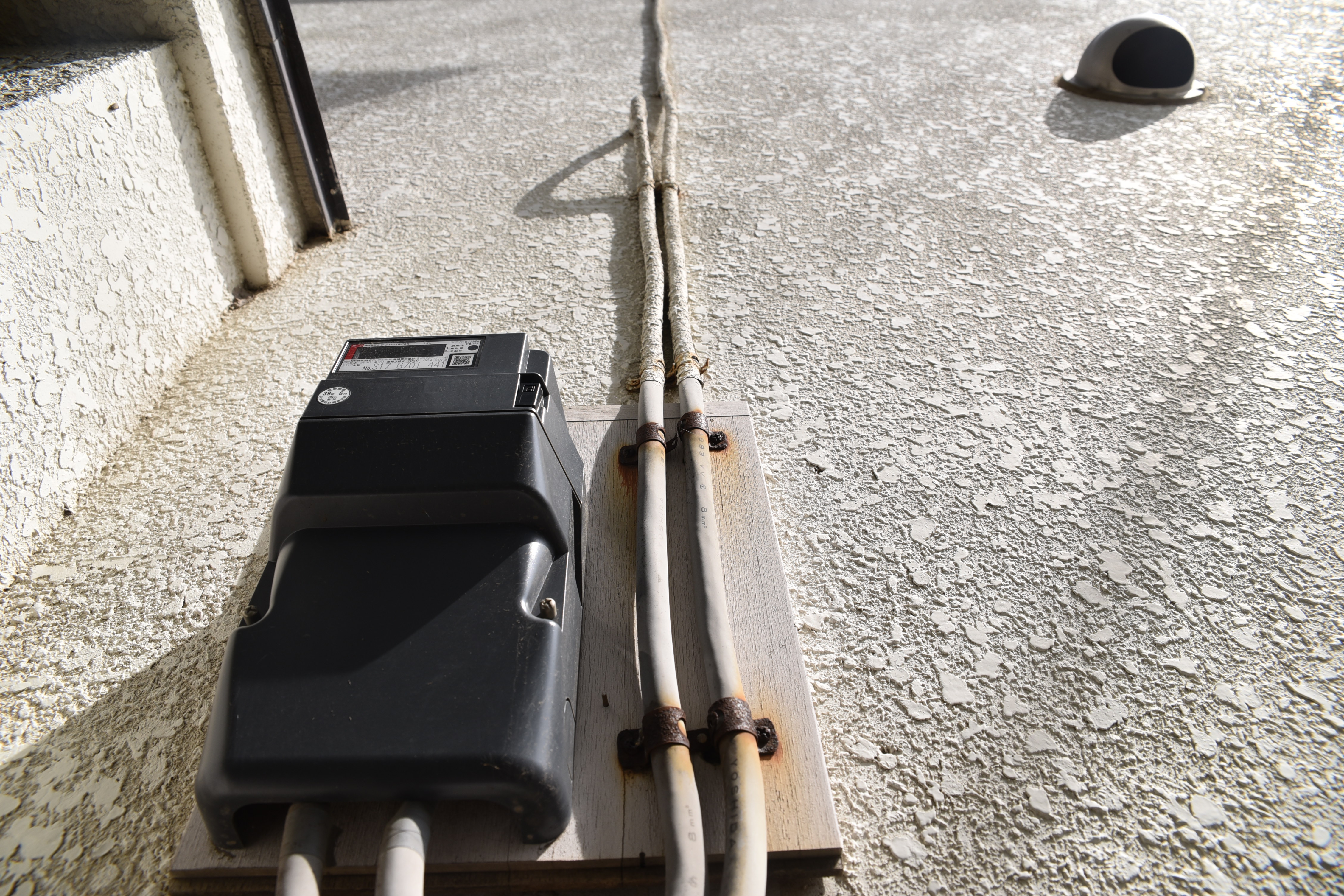 20190819  Asama mae021.JPG