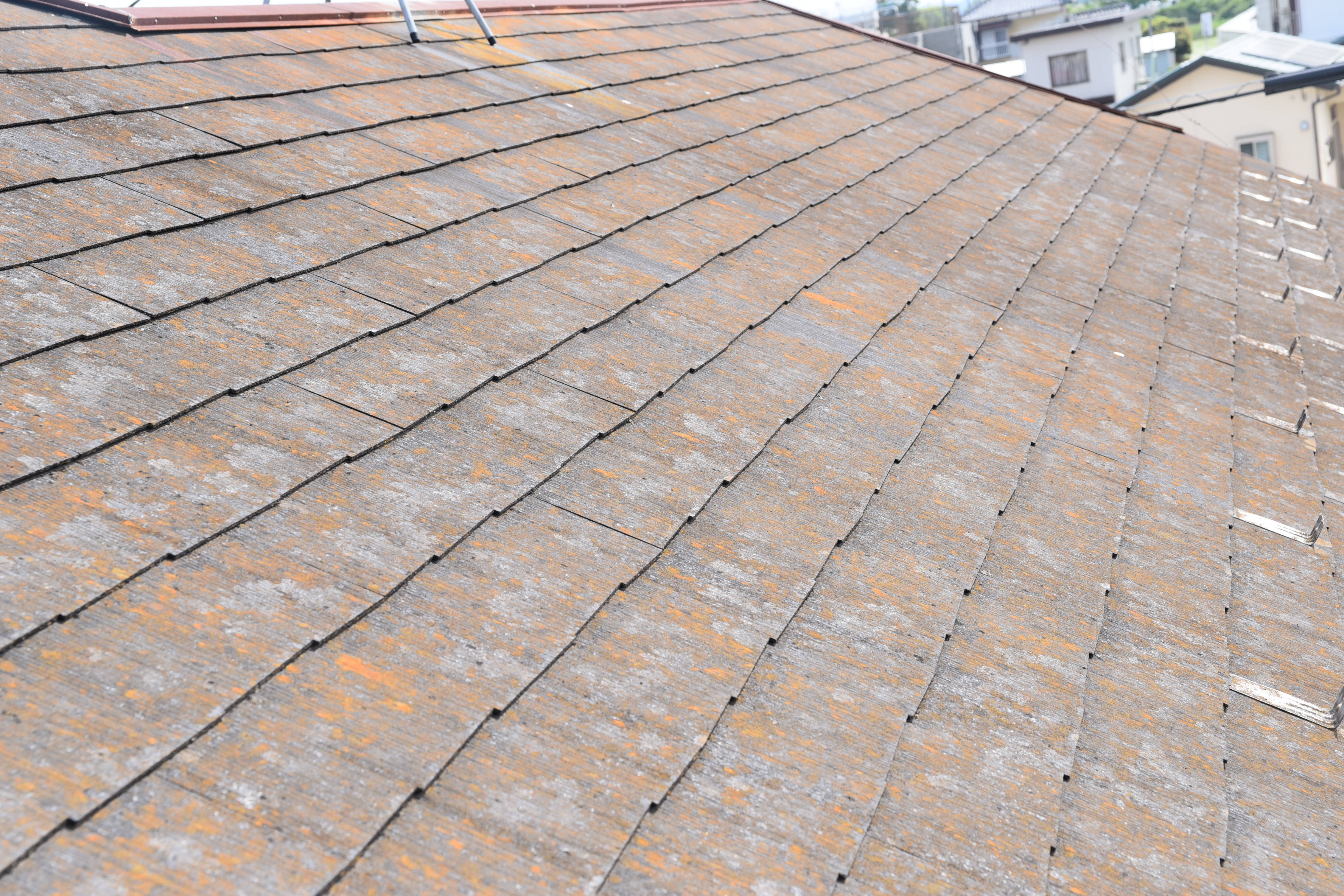 20190819  Asama mae027.JPG