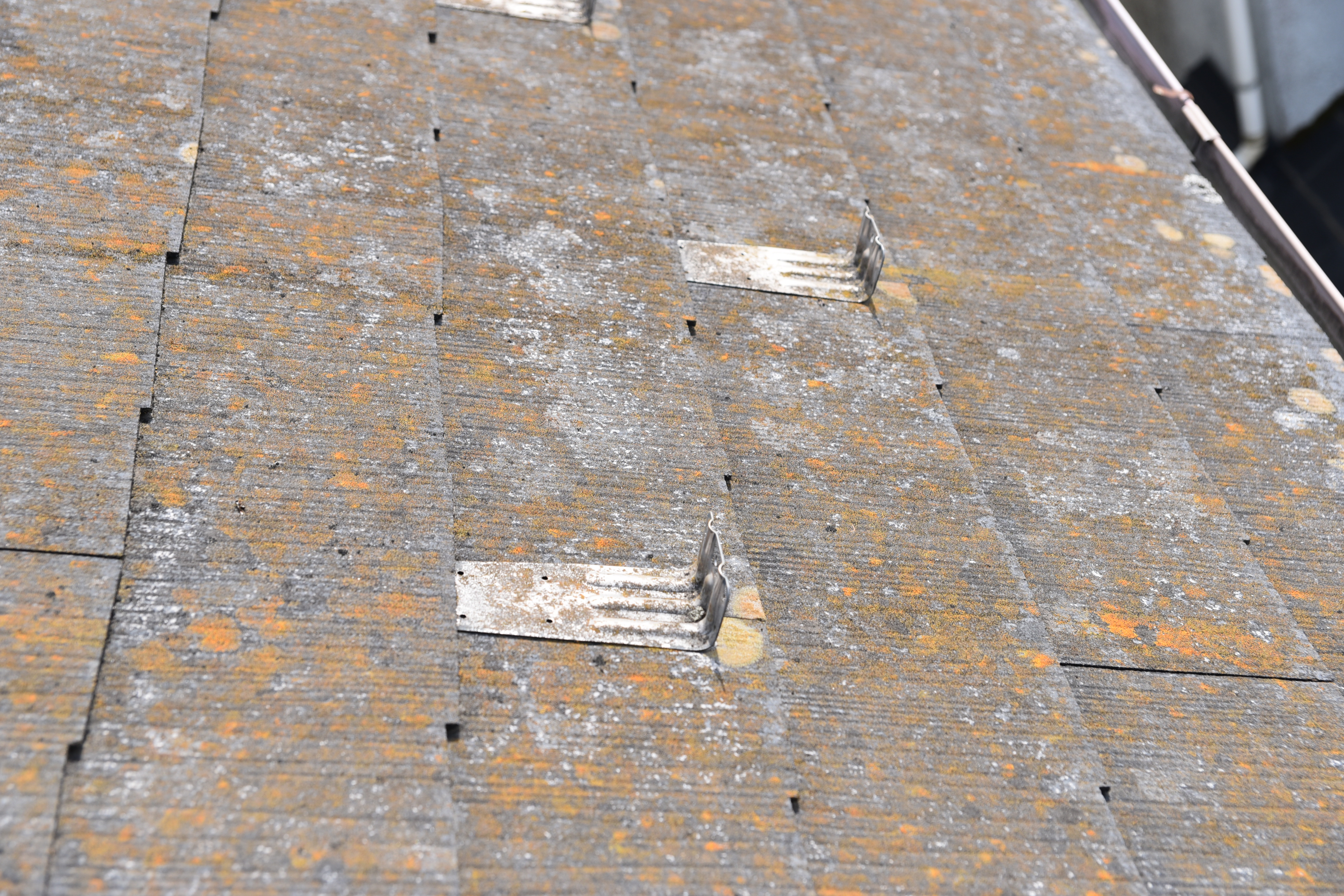 20190819  Asama mae028.JPG