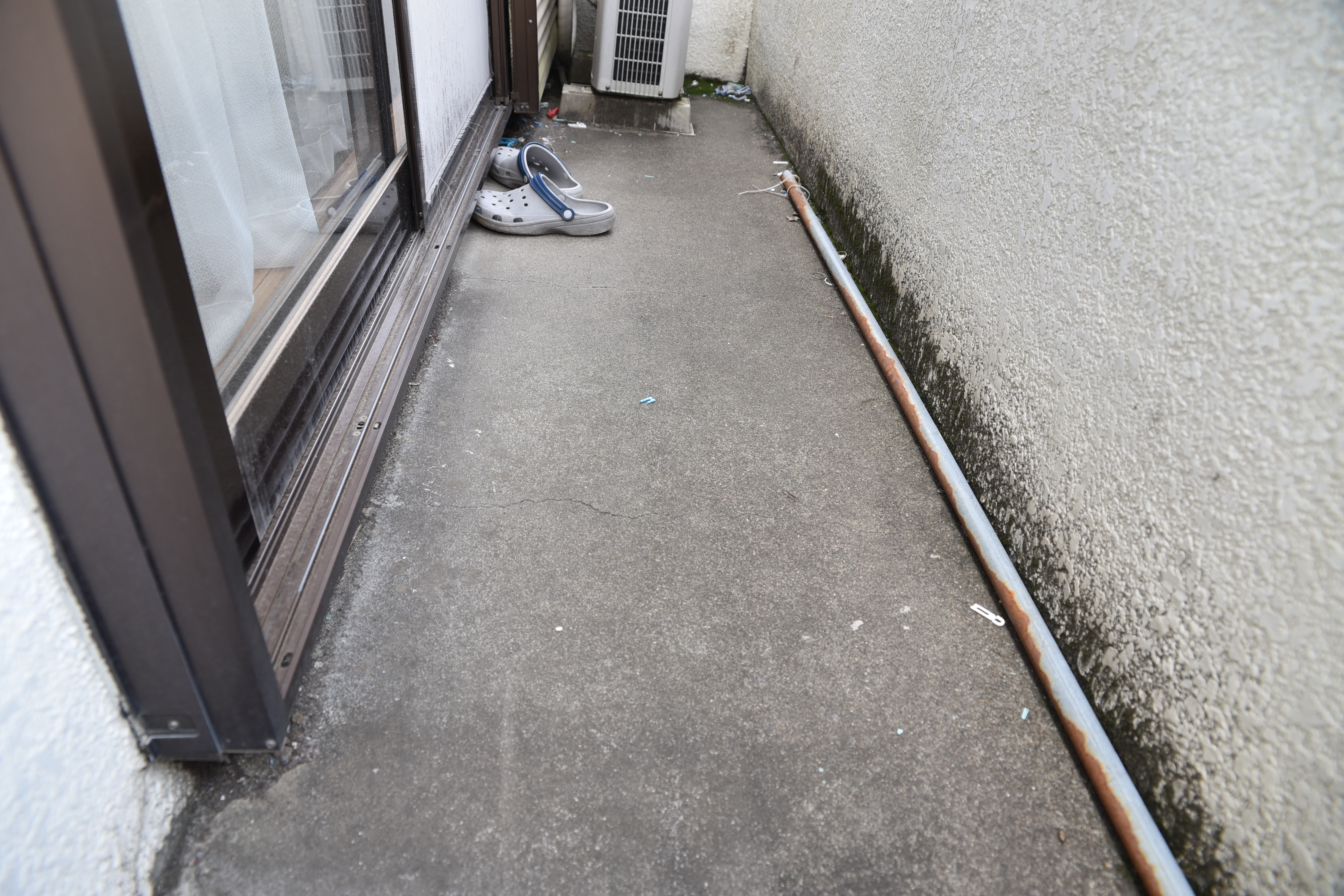 20190819  Asama mae031.JPG