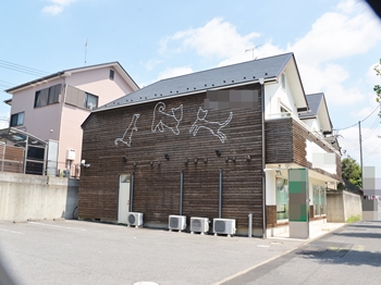 20190822  Ksama go003.JPG