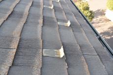 20190823  Asama mae036.JPG