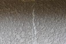 20190824  Ssama mae002.JPG