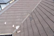 20190824  Ssama mae021.JPG