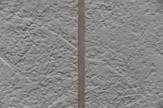 201909014 Tsama mae02.JPG