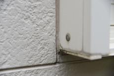 201909014 Tsama mae03.JPG