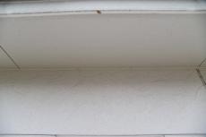 201909014 Tsama mae06.JPG