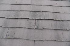 201909014 Tsama mae08.JPG