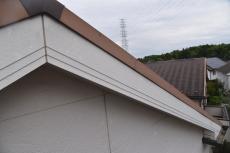 201909014 Tsama mae12.JPG