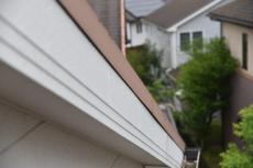 201909014 Tsama mae13.JPG