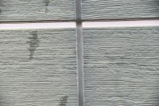 201909014 Tsama mae21.JPG