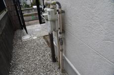 201909014 Tsama mae31.JPG