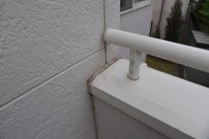 201909014 Tsama mae37.JPG