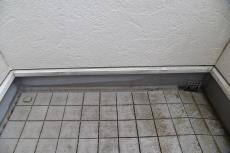 201909014 Tsama mae38.JPG