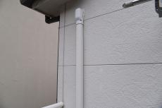 201909014 Tsama mae40.JPG