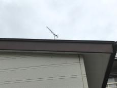 201909017 Hsama mae25.JPG