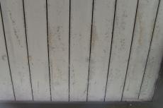 20190904  Ysama mae008.JPG