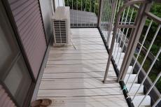 20190904  Ysama mae013.JPG