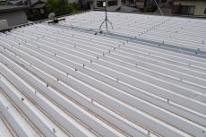 20190904  Ysama mae015.JPG