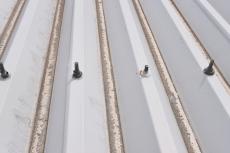 20190904  Ysama mae016.JPG