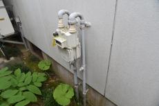 20190904  Ysama mae021.JPG