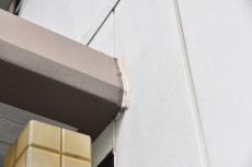 20190904  Ysama mae030.JPG