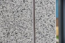 20190904 Isama　mae10.JPG