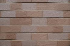 20190904 Isama　mae15.JPG