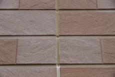 20190904 Isama　mae16.JPG