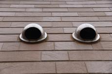 20190904 Isama　mae29.JPG