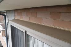 20190904 Isama　mae50.JPG