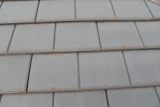 20190904 Isama　mae51.JPG