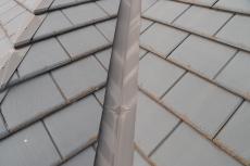 20190904 Isama　mae52.JPG