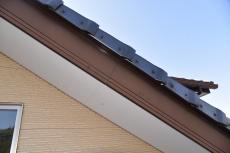 20190910  Ksama mae023.JPG